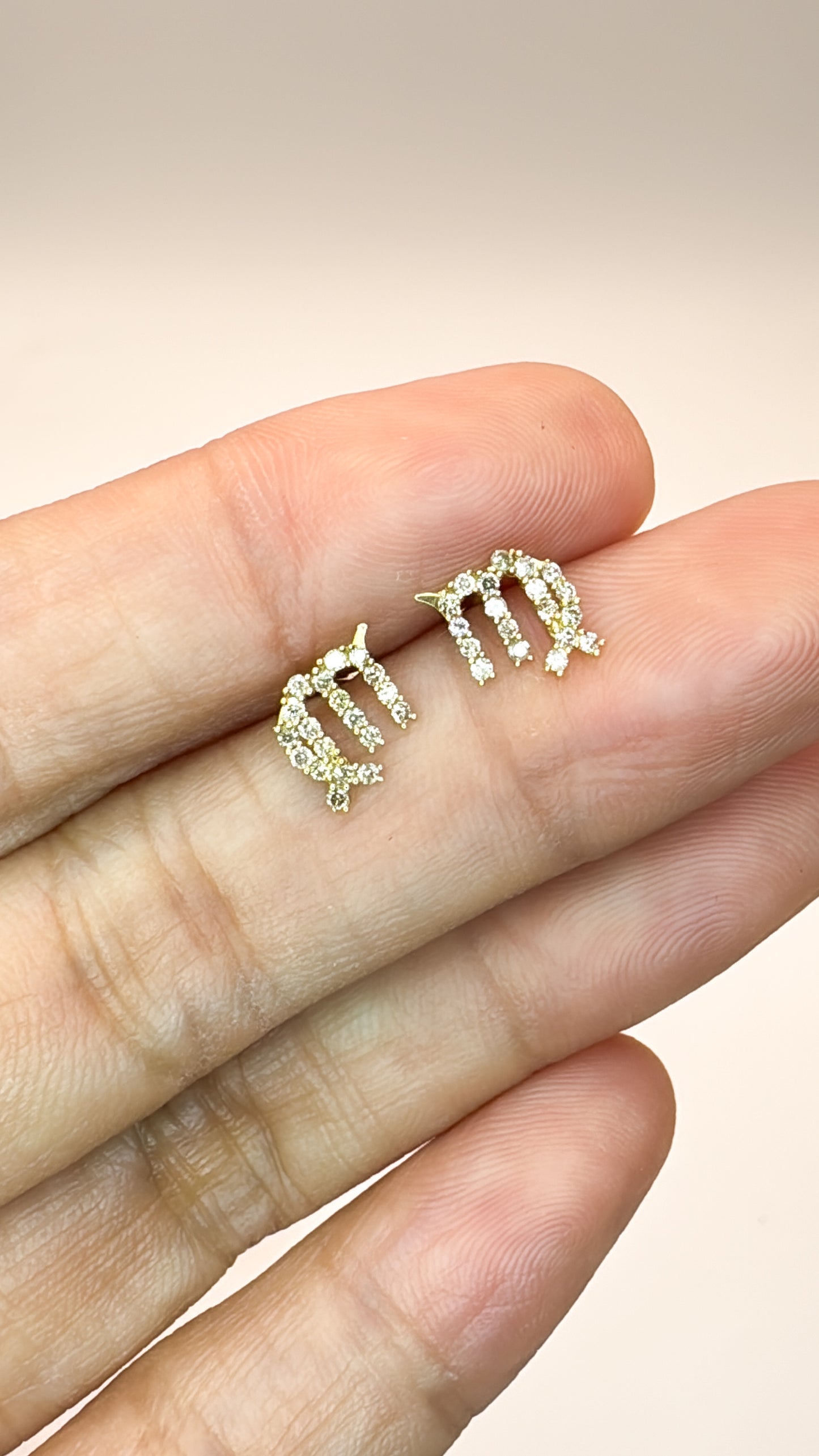 Zodiac Earrings - Virgo