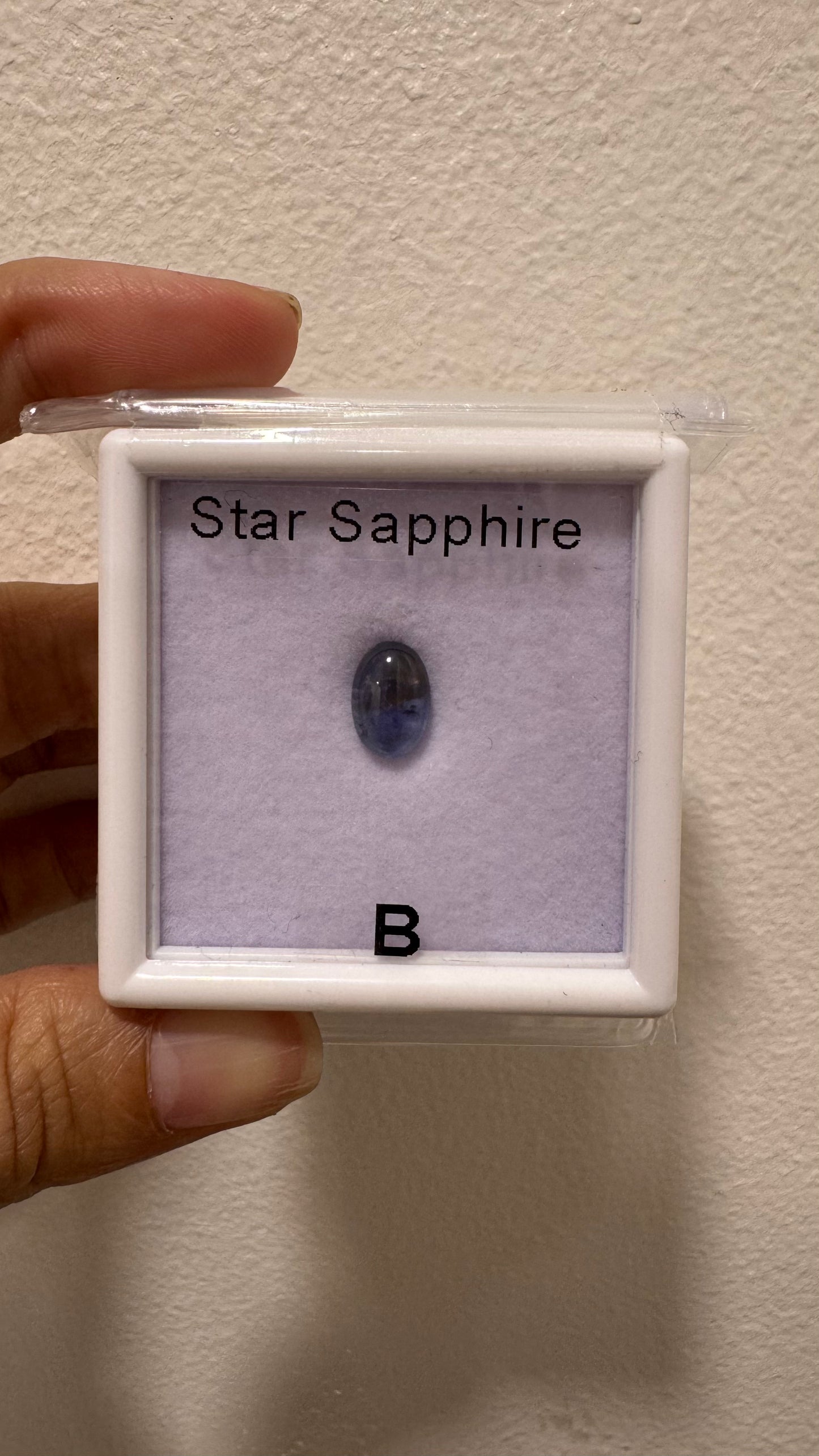 Loose Star Sapphire Cabochon