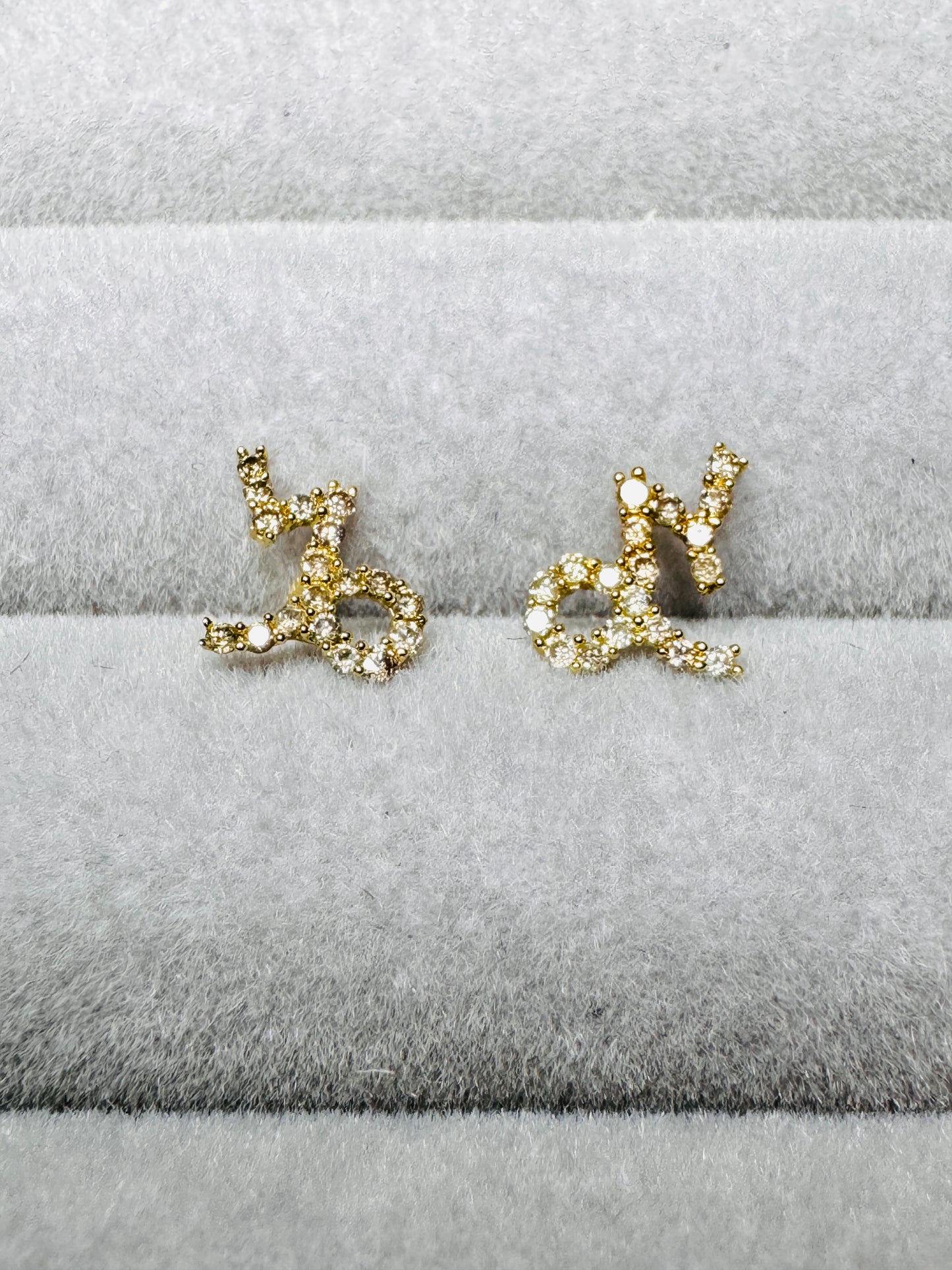 Zodiac Diamond Earrings (Capricorn)